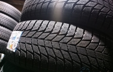 Triangle Snowlink PL01 Friction 94R