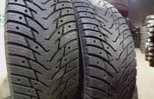 Nankang Ice Activia 95T